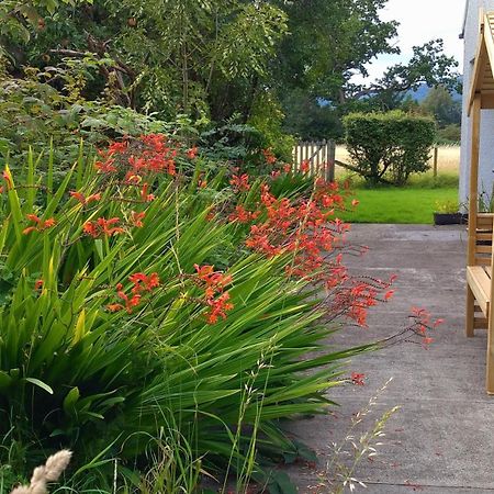 Bed and Breakfast Aquila Retreats Криф Экстерьер фото